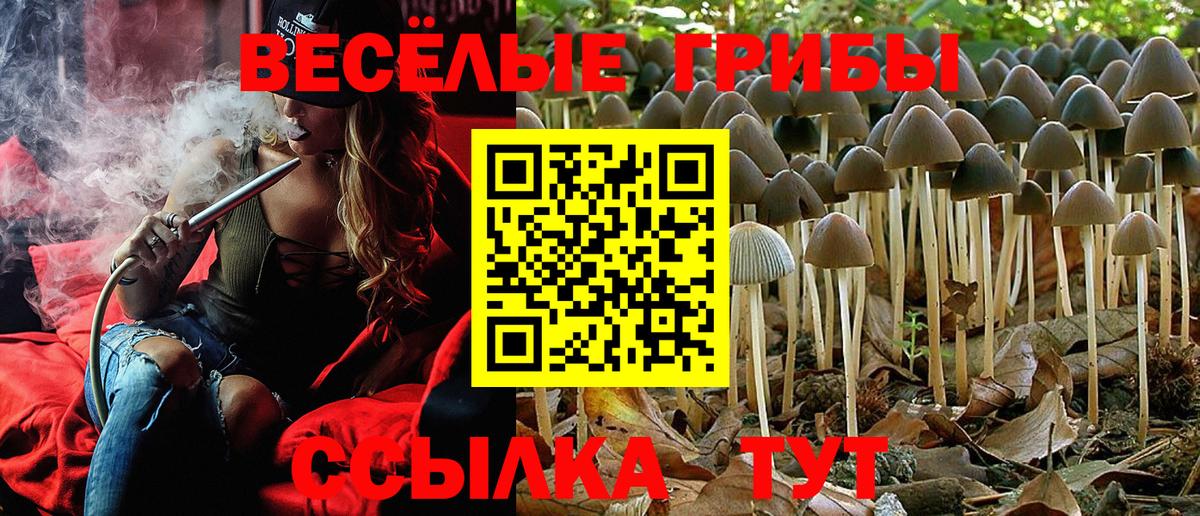 Алексеевка  Псилоцибиновые грибы прущие грибы  Вход с VPN 